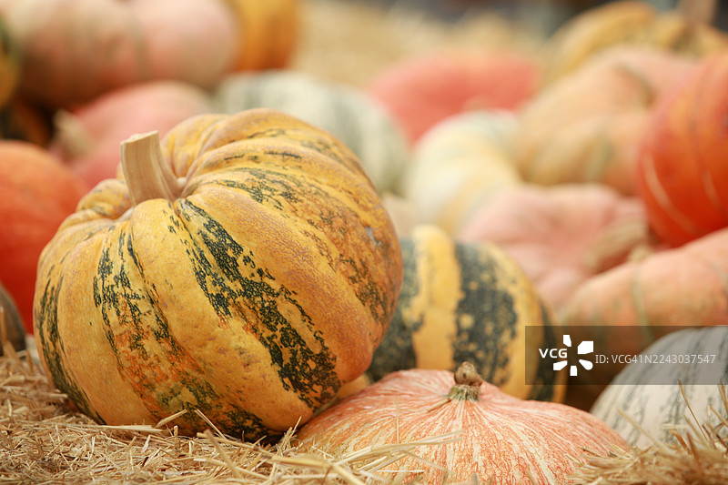 秋季集市摊位上色彩鲜艳的南瓜和葫芦特写，它们被安置在稻草中，展示着丰收季节的馈赠。图片素材