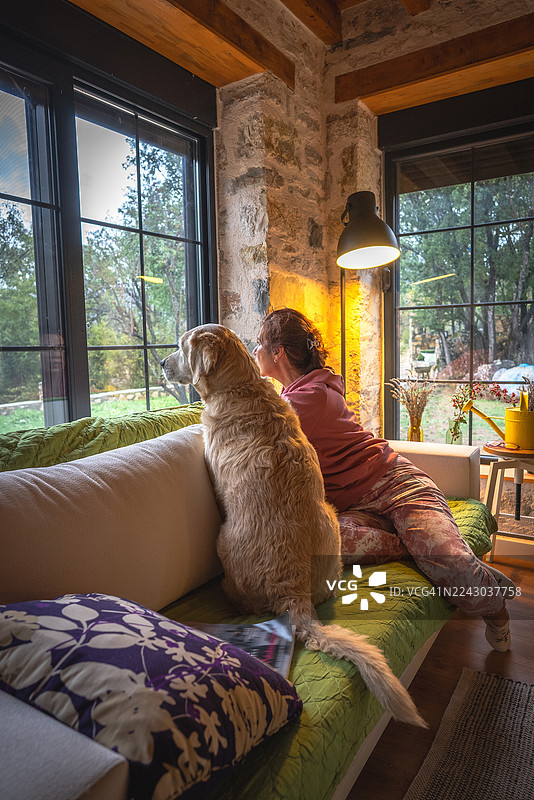 一位女士坐在沙发上，望着窗外，她的金毛寻回犬陪伴在她身边，身处一间古老的乡村小屋内图片素材
