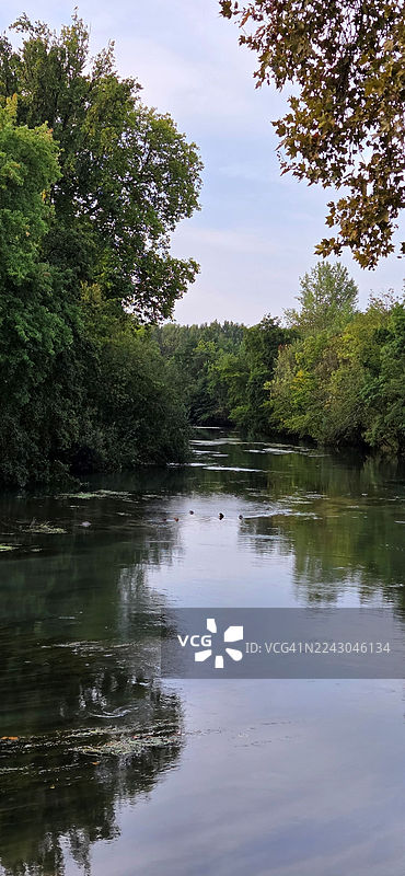 法国夏朗德省，宁静的森林湖泊倒映着天空，四周环绕着郁郁葱葱的绿树图片素材