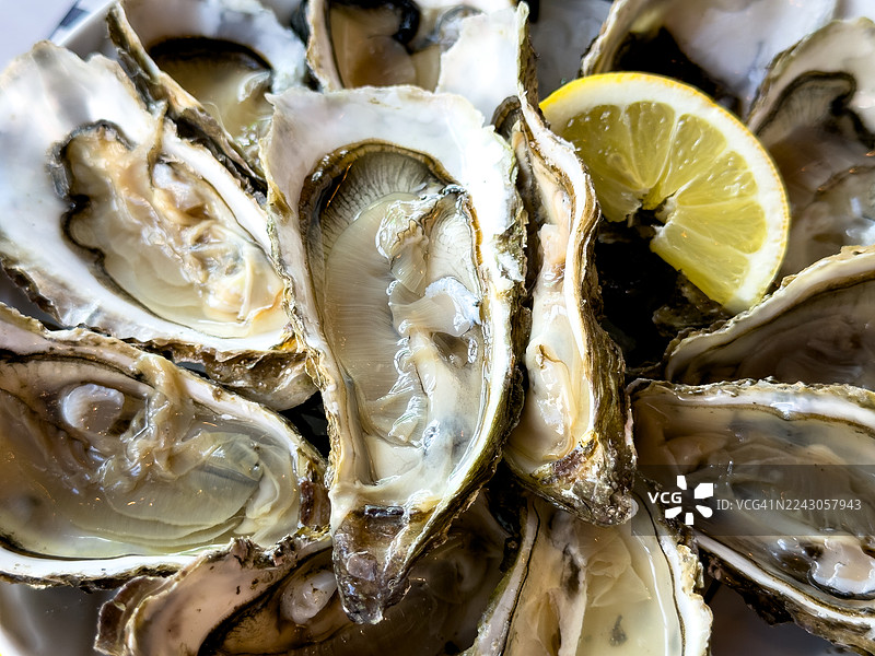 半壳牡蛎配柠檬图片素材