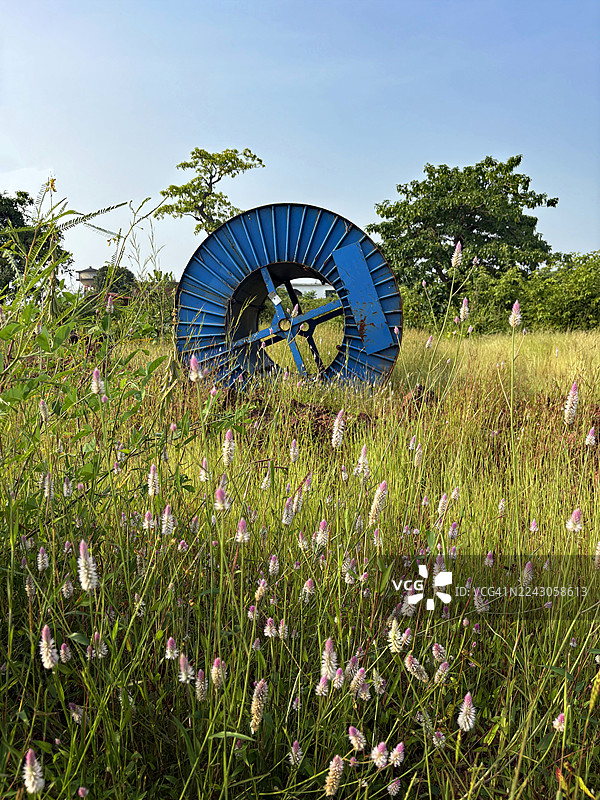 果阿卡波德拉玛海滩上，草地背景下的蓝色卷线器。图片素材