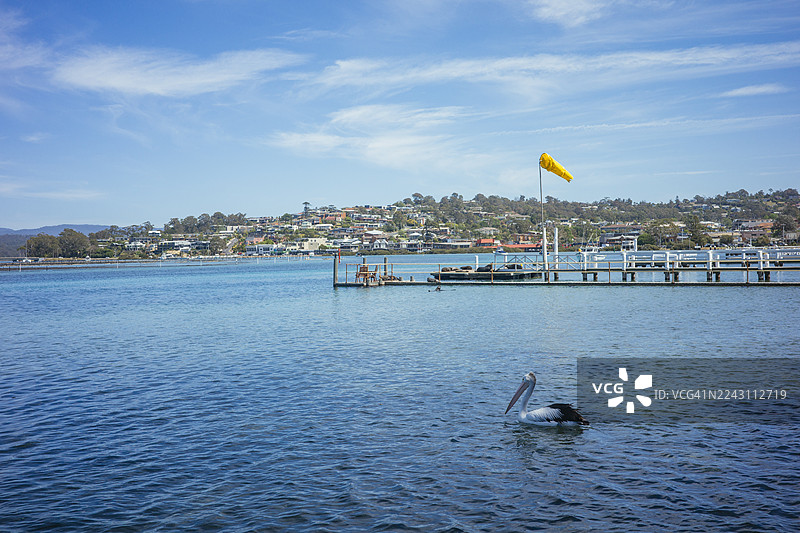 澳大利亚新南威尔士州梅里姆布拉博吉溪的码头和牡蛎养殖场图片素材