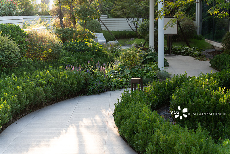 夏日公园里蜿蜒的小路和路边的植物图片素材