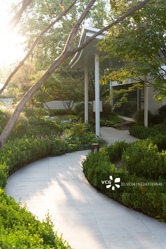 夏季公园里蜿蜒的小径和路边的植物图片素材