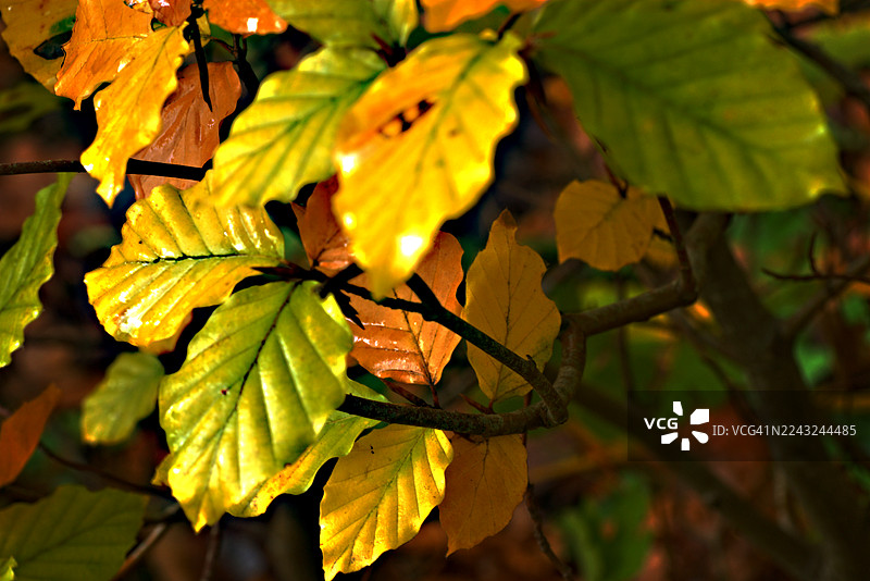 向上看图片素材