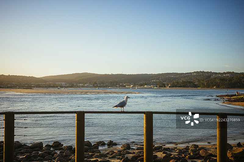 澳大利亚新南威尔士州梅里布拉海滩的日落天空图片素材