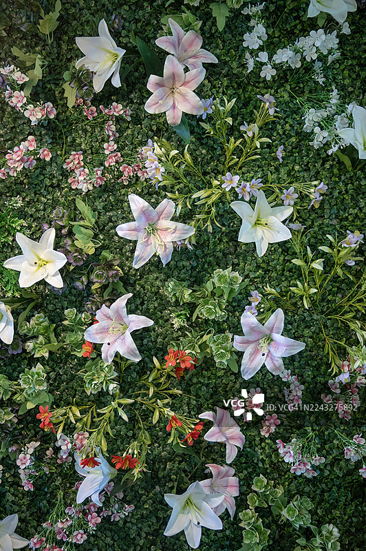 建筑外墙上覆盖着人造植物叶子和花朵塑料面板图片素材