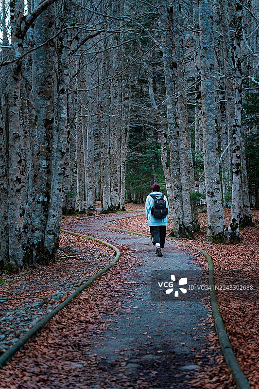 秋末，一位女士走在被落叶和光秃秃的树木环绕的森林小径上。图片素材