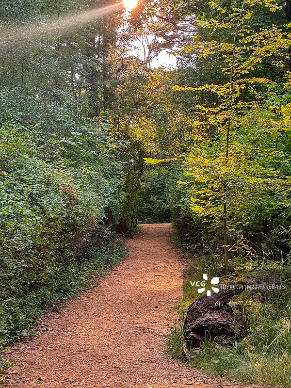维多利亚的灯塔山公园图片素材