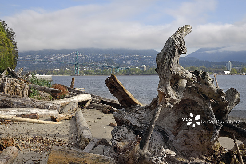 斯坦利公园海滩上的狮门大桥图片素材