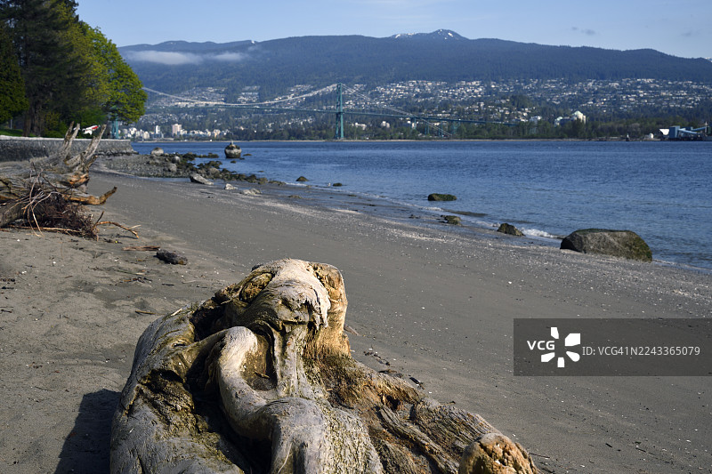 从斯坦利公园海滩（狮门大桥）图片素材