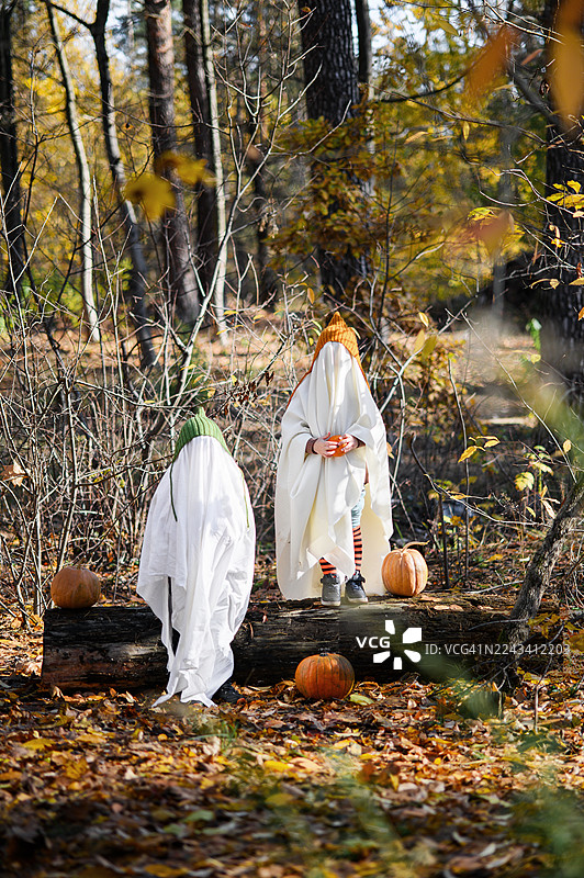 穿着万圣节鬼怪服装的孩子们在秋天的森林里玩耍图片素材
