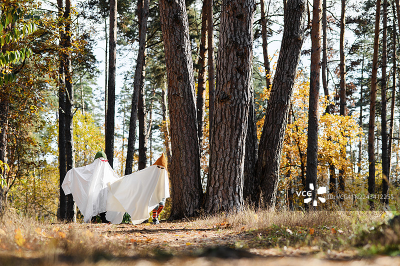 穿着万圣节鬼怪服装的孩子们在秋季森林里玩耍图片素材