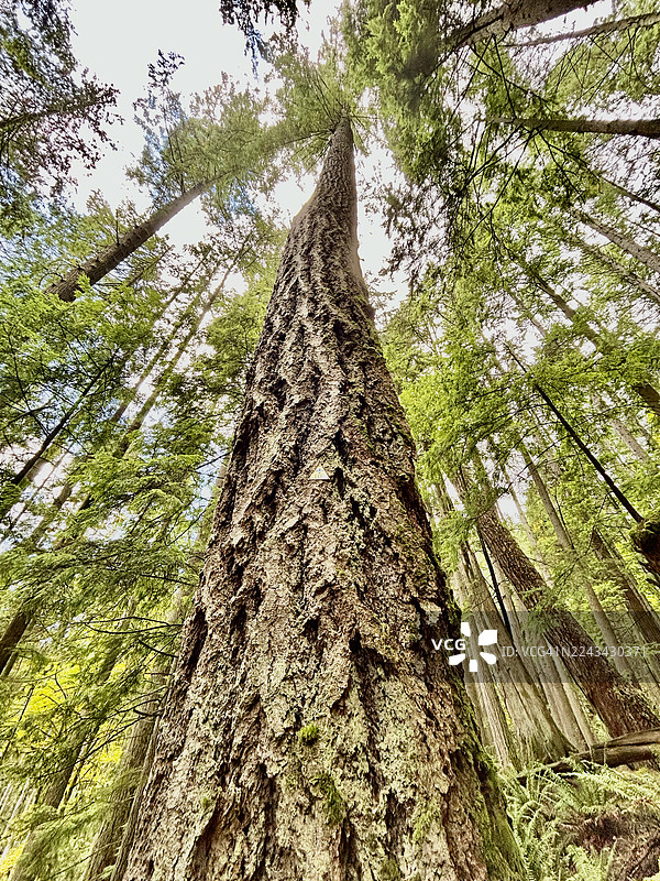 迪普湾图片素材