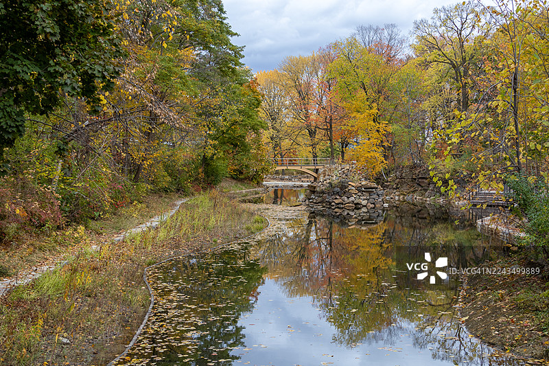 池塘与桥，让-德拉波公园，圣海伦岛，蒙特利尔，魁北克图片素材