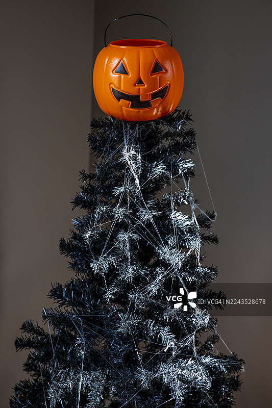 万圣节树、万圣节蜘蛛网、万圣节装饰图片素材