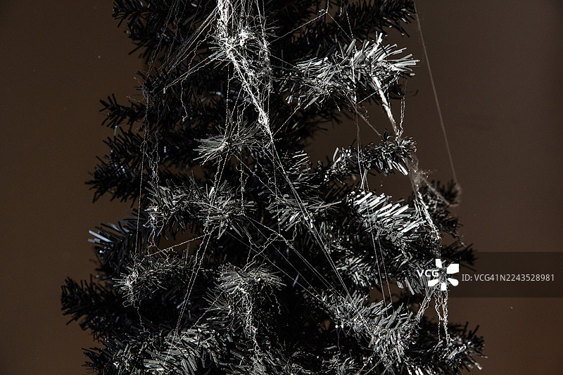 假蜘蛛网，万圣节装饰品，万圣节树图片素材