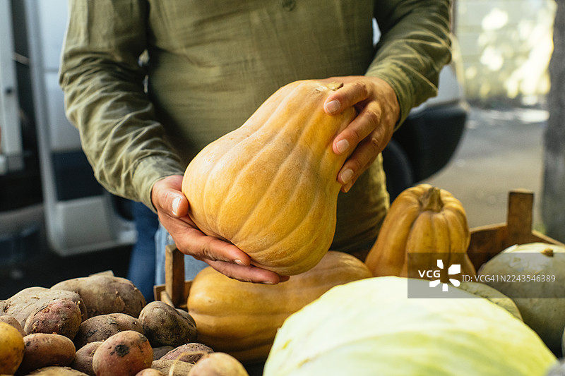 男人在市场上挑选南瓜图片素材