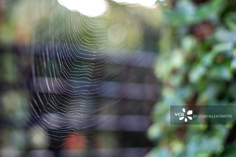 光之网图片素材