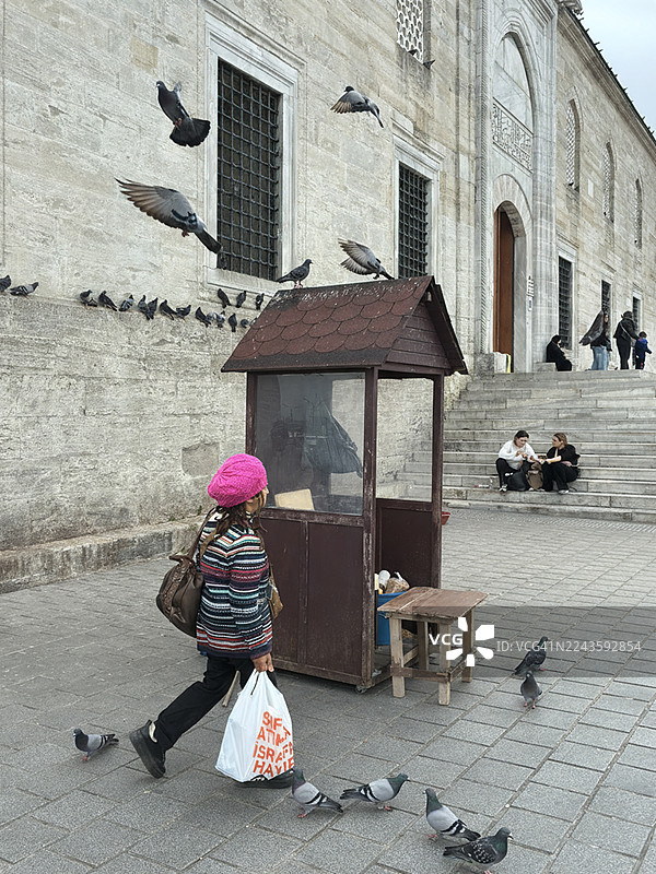 鸽子与路人 — 新清真寺，埃米诺努图片素材