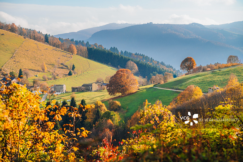 意大利阿尔塔皮亚诺迪西亚戈的秋季景观，有连绵起伏的丘陵图片素材