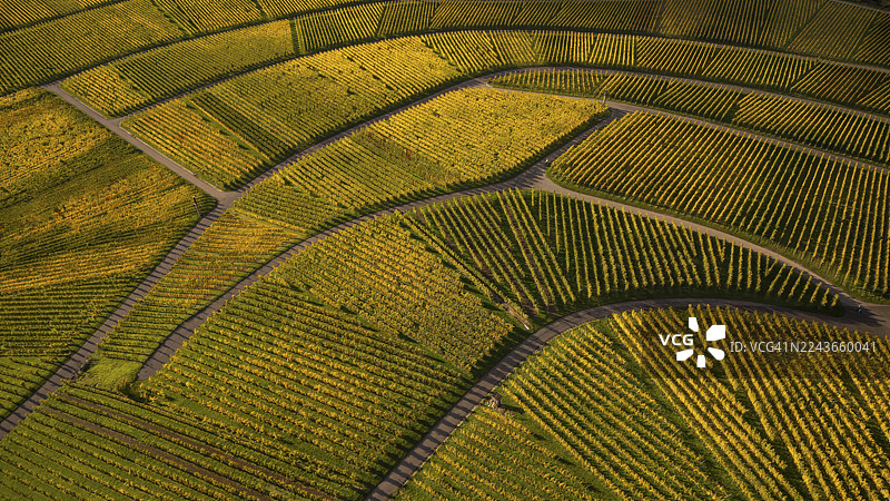 卡佩尔山(Kappelberg)在费尔巴哈(Fellbach)和斯图加特(Stuttgart)之间,金色的夕阳映照着秋日里闪耀的葡萄园图片素材