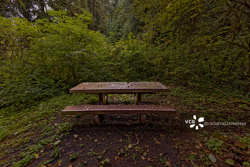 森林里的野餐桌图片素材