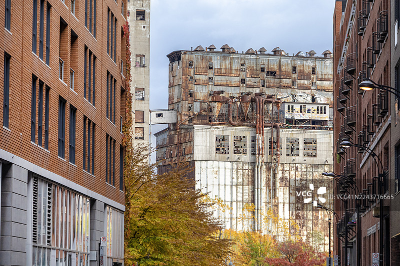 魁北克省蒙特利尔，灰衣修女街望向5号筒仓图片素材