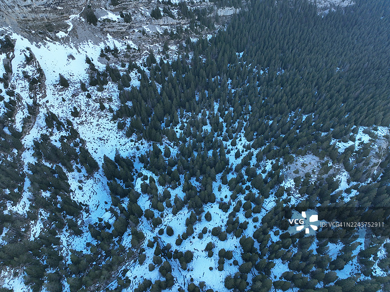 雪中的韦尔科尔地区自然公园，科朗松昂韦尔科尔，全景悬崖，伊泽尔省，法国图片素材