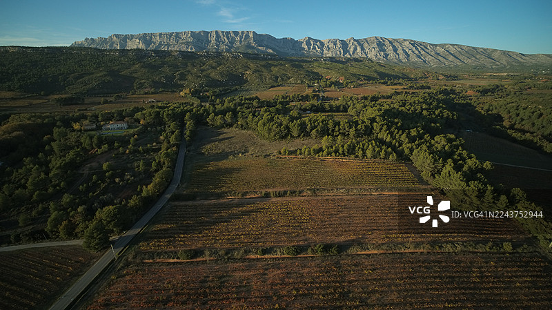 秋季葡萄园，普罗旺斯丘法定产区，艾克斯地区，圣维克多瓦山麓大区，普伊卢比耶，罗讷河口省，法国图片素材
