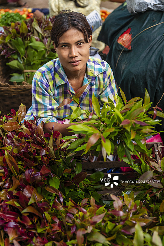 缅甸妇女在缅甸售卖鲜花图片素材