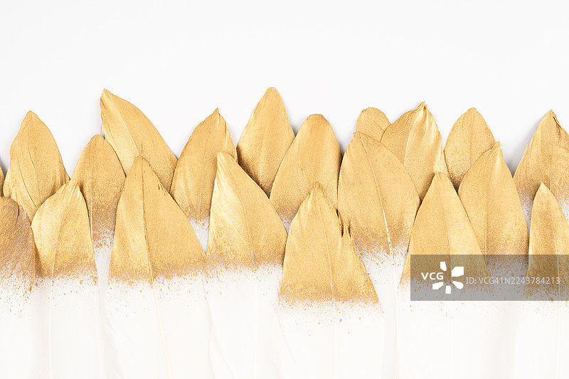 白色羽毛，金色喷漆，白色背景，留有复制空间。图片素材