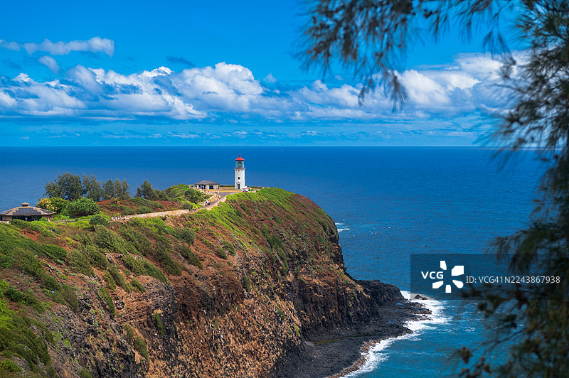 基拉韦厄灯塔和野生动物保护区是位于夏威夷考艾岛北部海岸的一个具有重要生态意义的地点。图片素材
