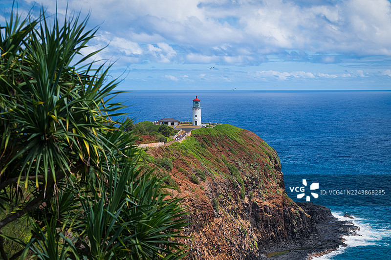 基拉韦厄灯塔和野生动物保护区是位于夏威夷考艾岛北部海岸的一个具有重要生态意义的地点。图片素材