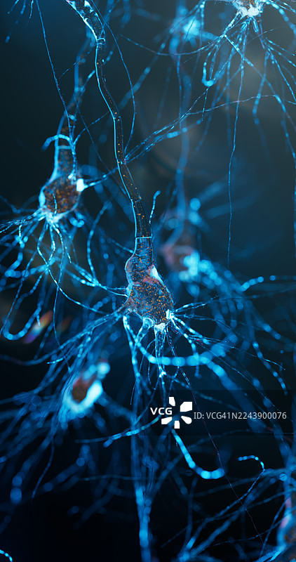 外星神经元传输发光能量的显微图像。图片素材