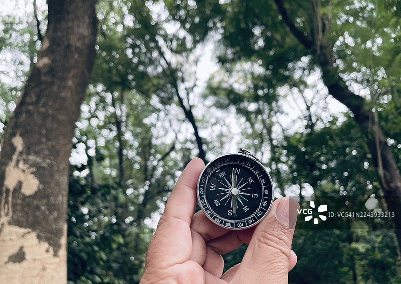 森林中的指南针图片素材