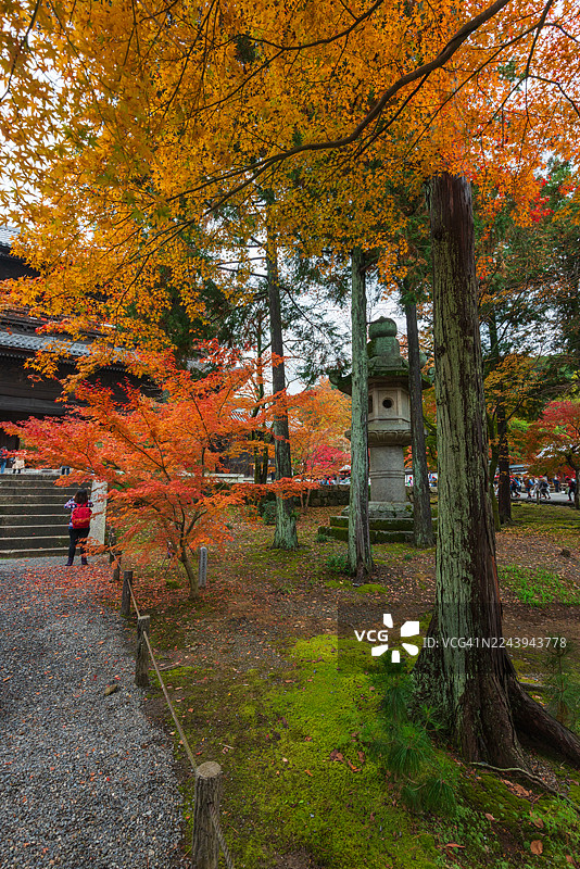 秋季时，无论是外国游客还是当地居民，都在京都南禅寺（Nanzenji Temple）的美丽公园里漫步，此时色彩斑斓的枫叶吸引了众多游客。图片素材