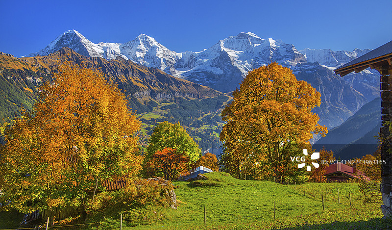 瑞士伯尔尼州劳特布龙嫩山谷伊森弗卢赫,秋季苏尔瓦尔德村庄景色,远眺艾格峰(3967米)、僧侣峰(4110米)和少女峰(4158米)图片素材