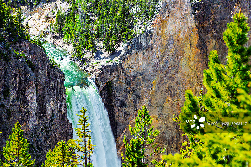 黄石国家公园内，强大的瀑布倾泻而下，穿过崎岖的峡谷峭壁，周围环绕着松树林——静态镜头图片素材