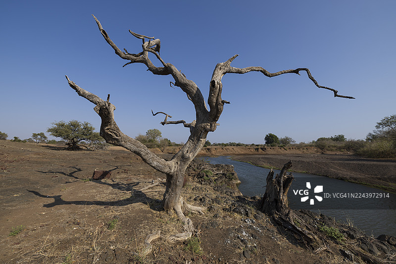 马沙图野生动物保护区图片素材