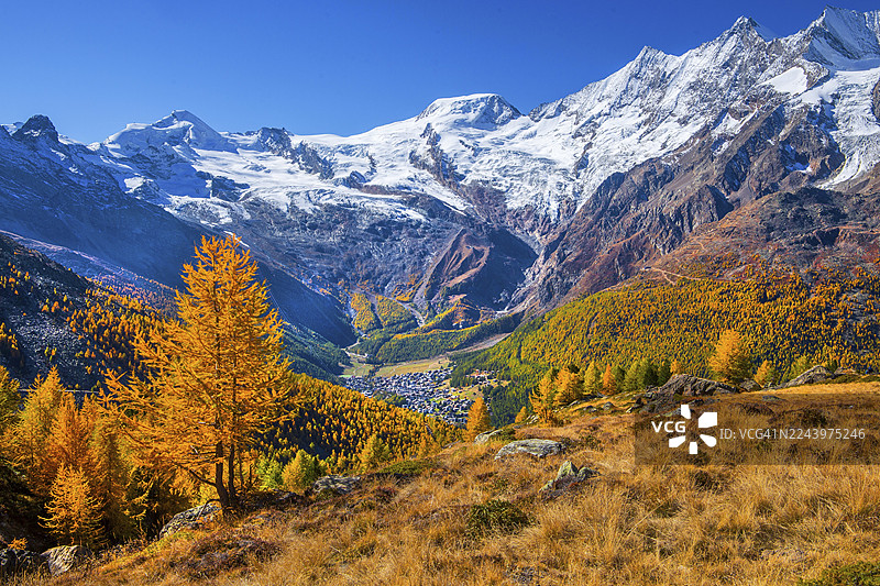 秋季,从克鲁兹博登(Kreuzboden)眺望萨斯费(Saas-Fee),远景包括海拔4027米的阿兰林峰(Alalinhorn)、海拔4206米的阿尔普贝尔峰(Alphubel)和海拔4545米的比斯卡峰(Mischabel Group),地点位于瑞士瓦莱州萨斯格伦德(Saas-Grund)的萨斯塔(Saasertal)山谷。图片素材