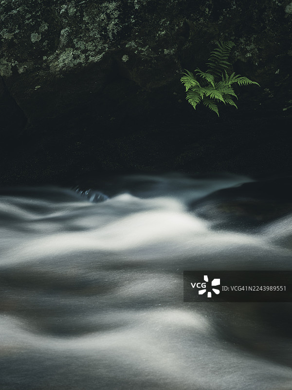 夜晚，植物下流水长曝光镜头图片素材