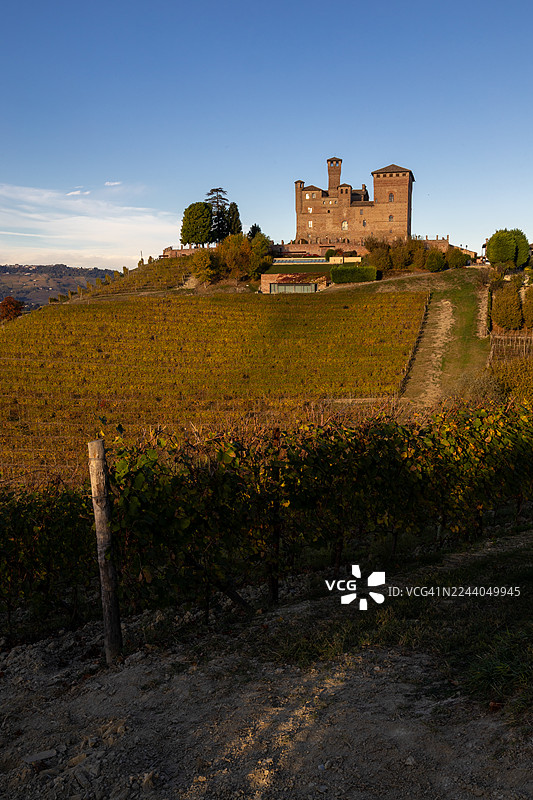 葡萄园的秋叶 - 格林扎内卡武尔图片素材