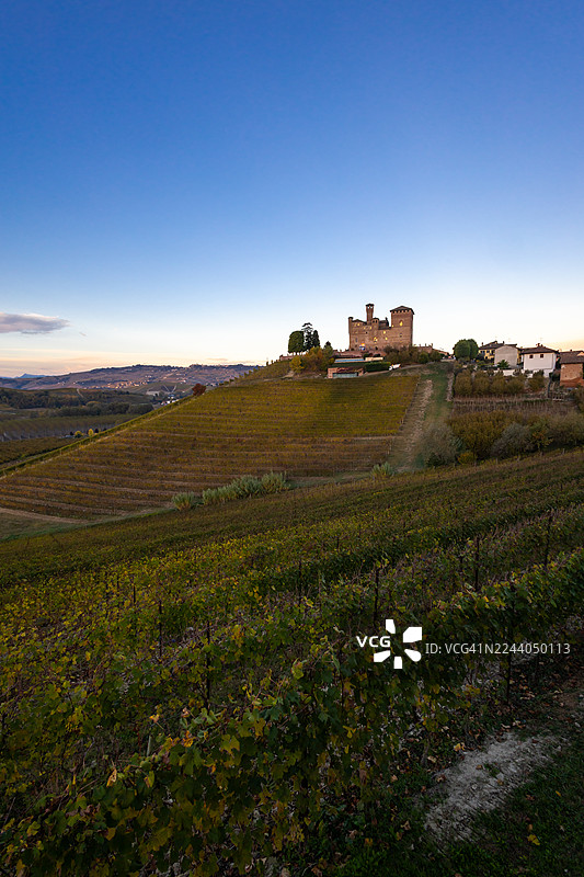 葡萄园的秋叶 - 格林扎内卡武尔图片素材