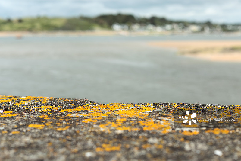 浅景深视角下的卡梅尔河口图片素材
