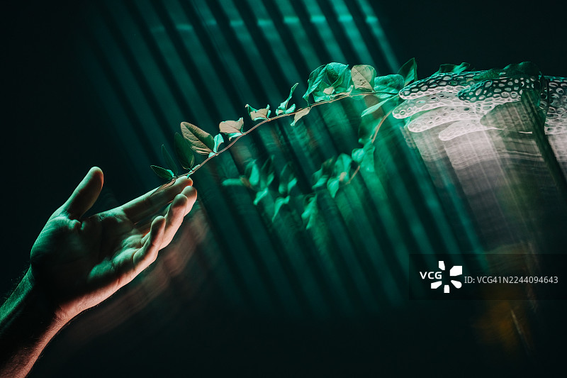 一只人类的手和一只白色的未来感十足的机械手轻轻地夹着一株天然藤蔓，背景黑暗而富有氛围感，并带有垂直的绿色光线。图片素材
