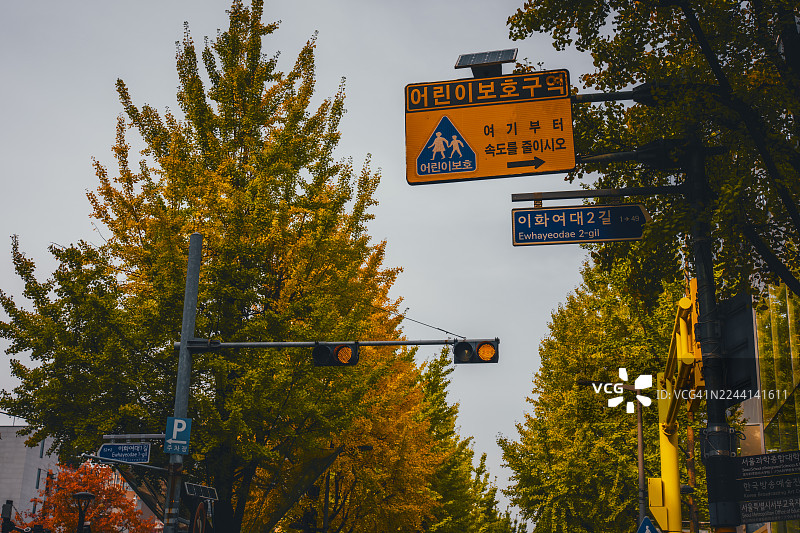 韩国首尔梨花女子大学校园秋日街景图片素材