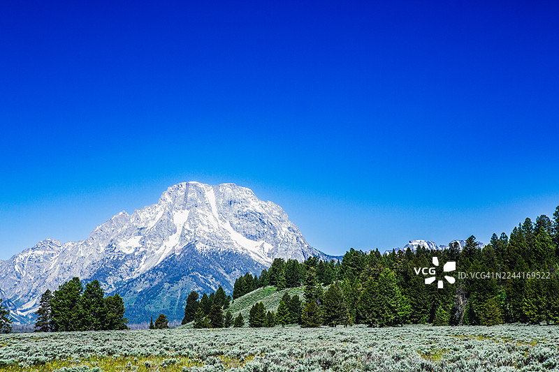 格兰特·提顿峰，坐落于鼠尾草草甸和森林线之上图片素材