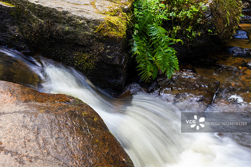 充满活力的森林中，瀑布层叠而下，流经布满苔藓的岩石，这是一张动态的长曝光照片图片素材