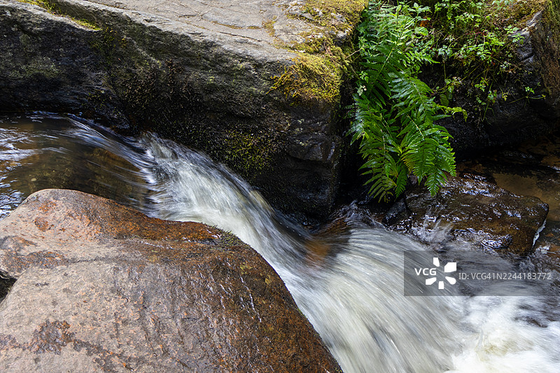俯视瀑布流经布满青苔的岩石，周围生长着茂密的绿色蕨类植物图片素材